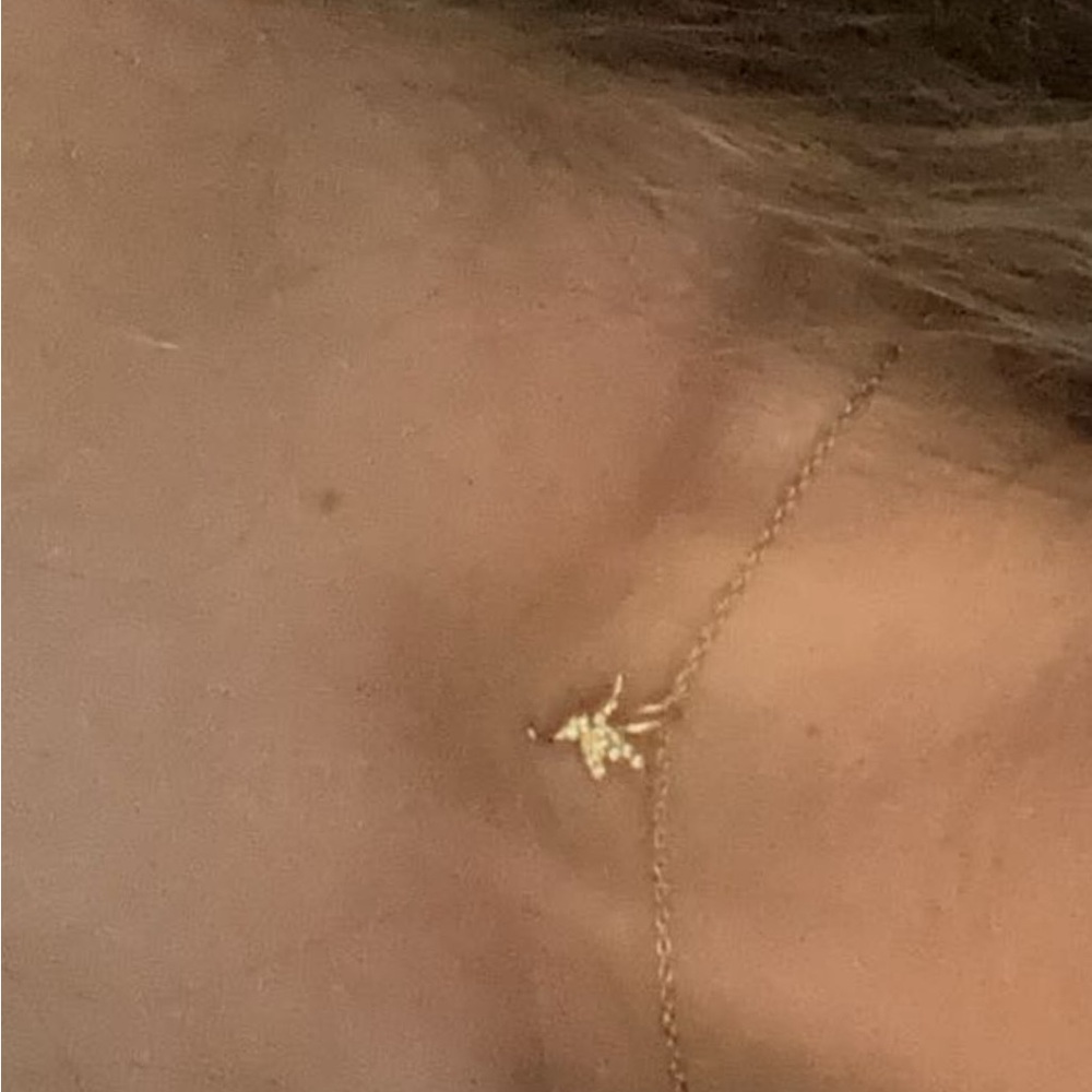 Humming bird necklace gold